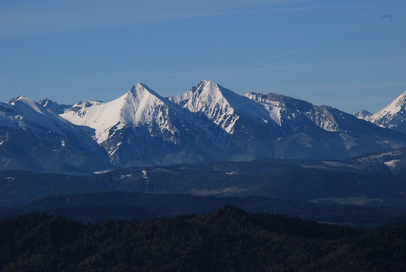 wysoka_ug_19.jpg