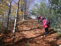 wysoka_ak_27