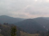 beresnik wd 06