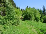bachuren ak 18 : Bahuren
