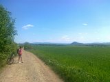 presov wd 13