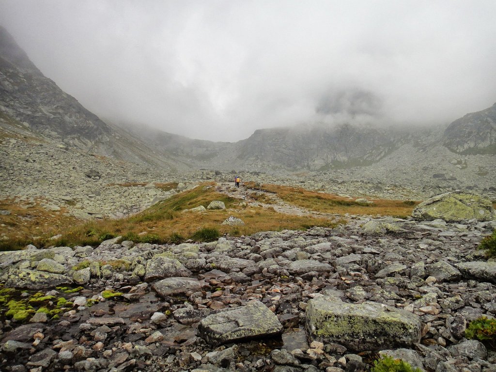 solisko_mip_09.jpg