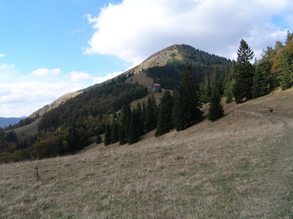lysiec_ms_19.jpg