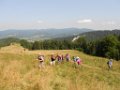 pieniny_wlz_33