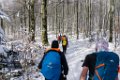 bieszczady_ppo_35