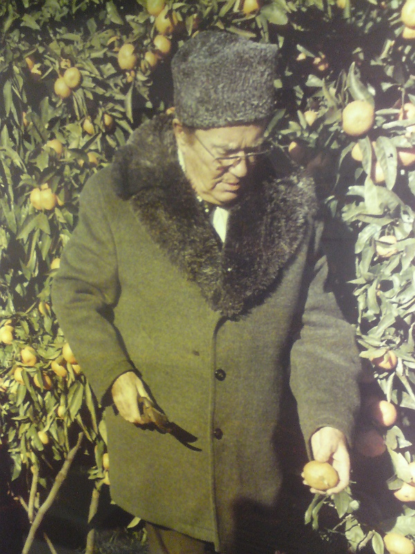 istria074.jpg - Brijuni - wystawa fotografii Josipa Broz Tito