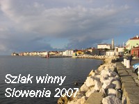 Sowenia 2007 - Szlak winny