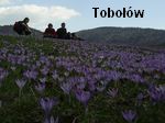 Tobow, Gorce: 3.04.2011